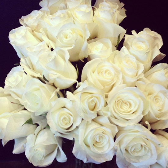 Coloured Roses – white